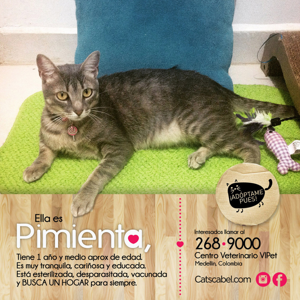 PIMIENTA AVISO