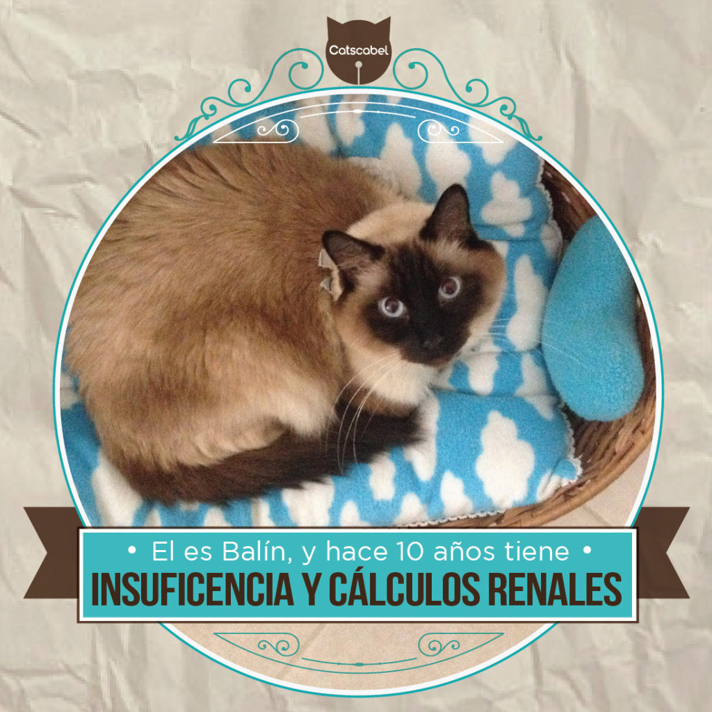 Balin Insuficente