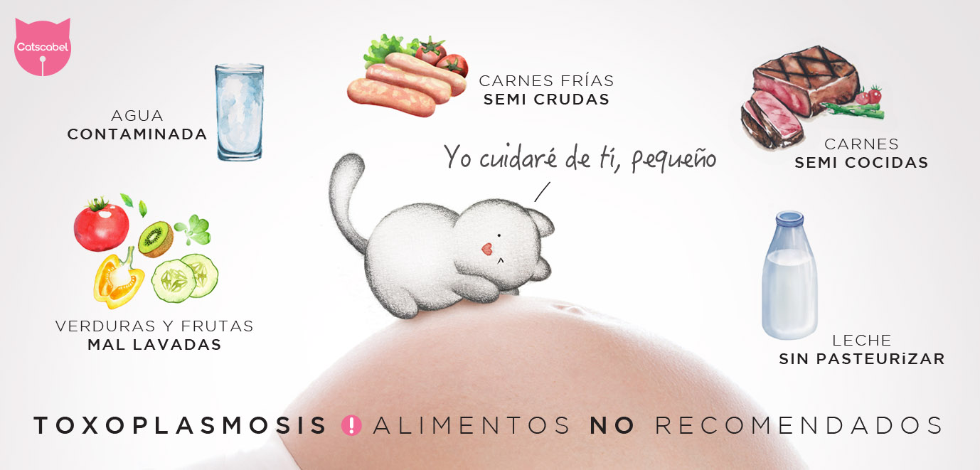 ALIMENTOS
