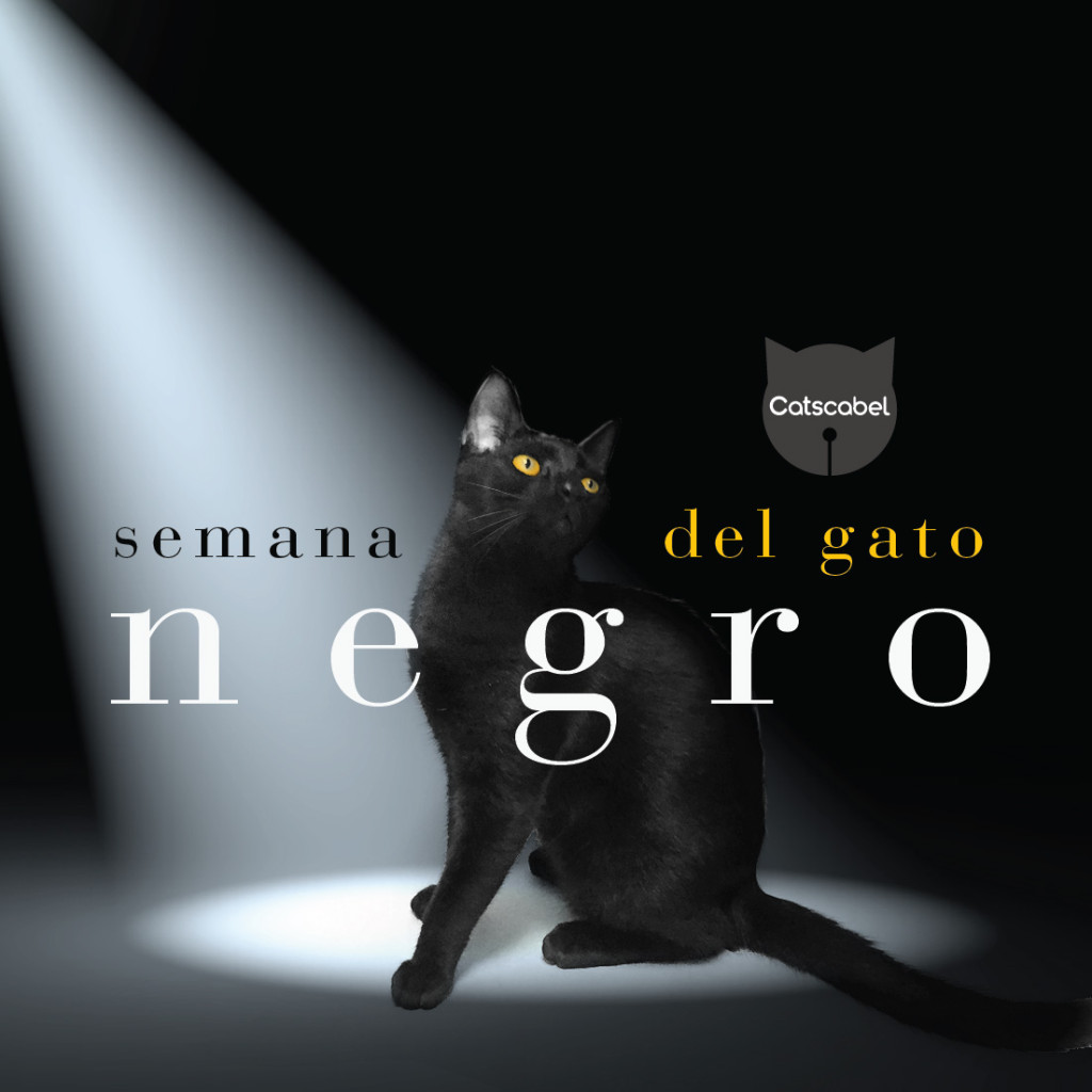 Semana del gato negro-01